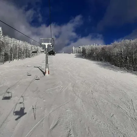 Almberg - Mitterdorf - Mitterfirmiansrout *