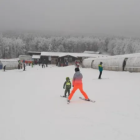 Appartement Almberg - Mitterdorf - Mitterfirmiansrout