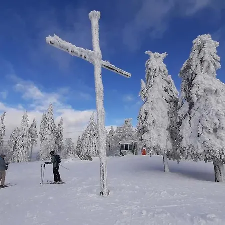 Lägenhet Almberg - Mitterdorf - Mitterfirmiansrout Philippsreut