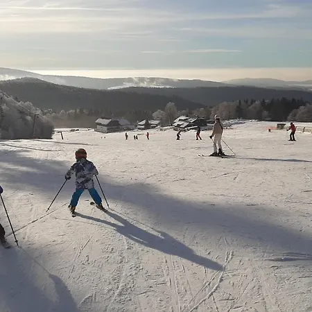 Almberg - Mitterdorf - Mitterfirmiansrout