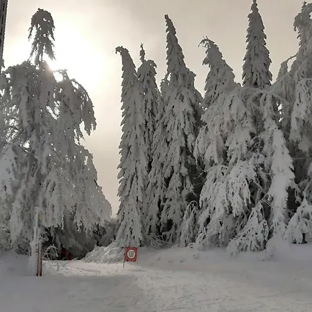 Lägenhet Almberg - Mitterdorf - Mitterfirmiansrout *