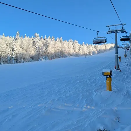 Almberg - Mitterdorf - Mitterfirmiansrout *