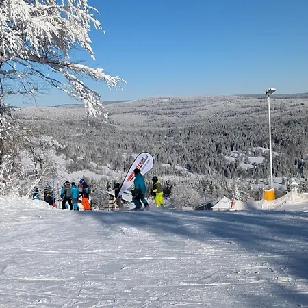 Almberg - Mitterdorf - Mitterfirmiansrout *