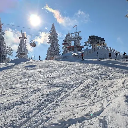 Almberg - Mitterdorf - Mitterfirmiansrout *