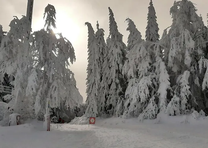 شقة Almberg - Mitterdorf - Mitterfirmiansrout *