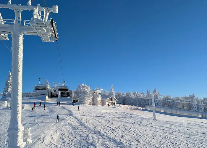 شقة Almberg - Mitterdorf - Mitterfirmiansrout