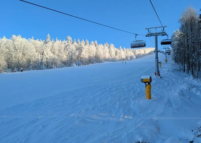 Almberg - Mitterdorf - Mitterfirmiansrout *