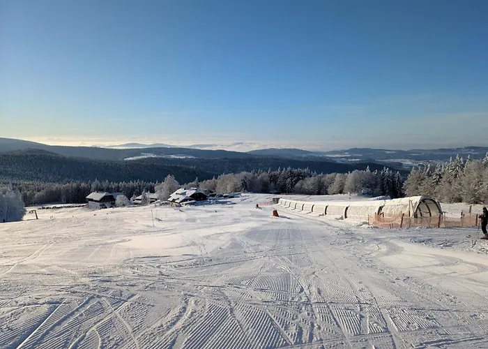 شقة Almberg - Mitterdorf - Mitterfirmiansrout فيليبسغويت