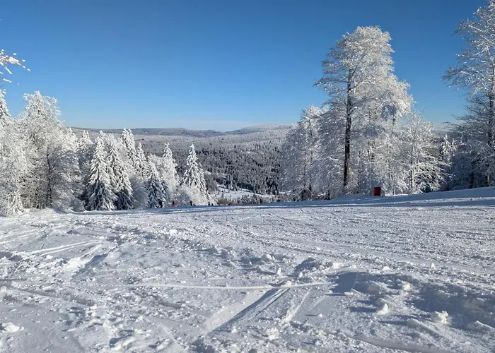 Almberg - Mitterdorf - Mitterfirmiansrout شقة