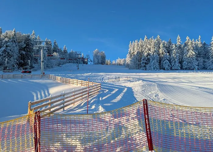 Almberg - Mitterdorf - Mitterfirmiansrout