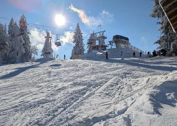 Almberg - Mitterdorf - Mitterfirmiansrout *